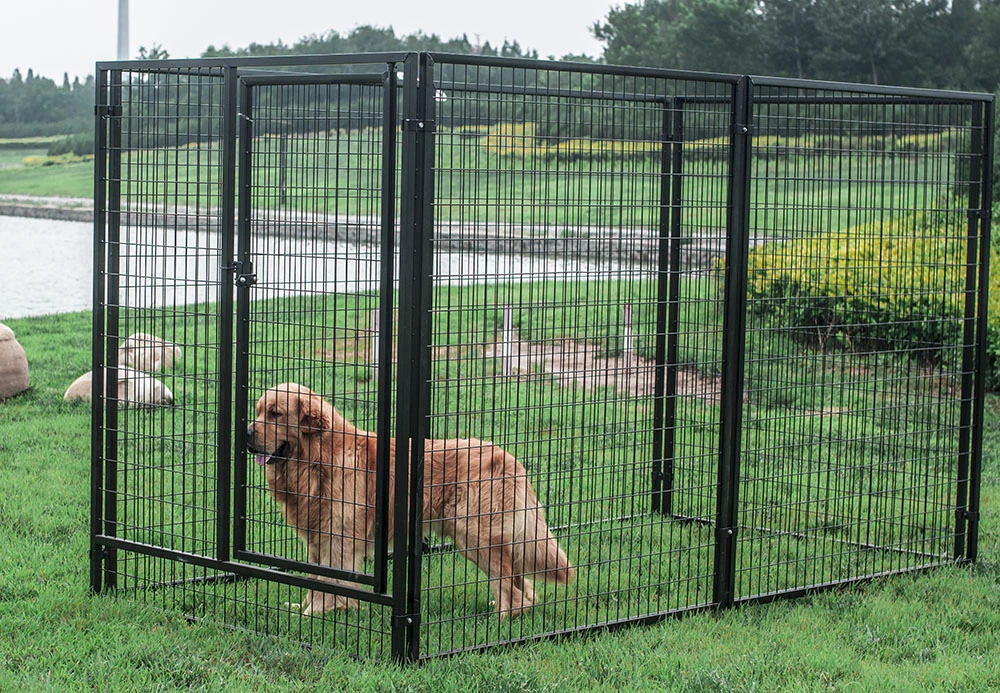 Large Outdoor Welded Modular Dog Kennels Pet Supply