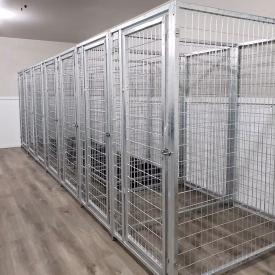 Niches pour chiens modulaires en acier galvanisé à vendre / Chenil pour chiens en fil soudé.