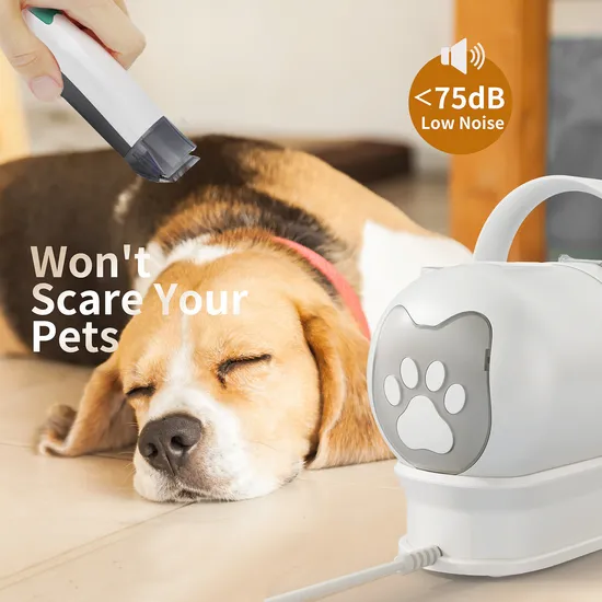 Outils de toilettage pour chien chat