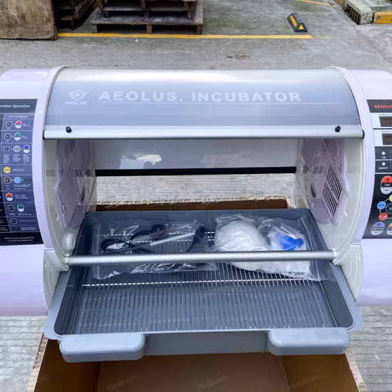 Hot Sale Portable Incubateur vétérinaire pour animaux de compagnie Chien Chat Chiot Vet ICU Incubator